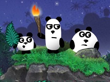 3 Pandas 2 Night