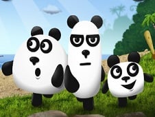 3 Pandas