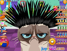 Angry Cat Hair Salon Online
