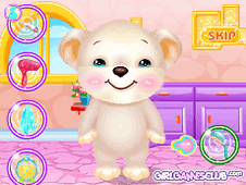 Cute Bear Salon