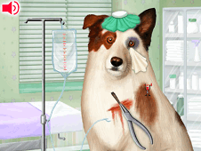 Doctor For Dog With a Blog