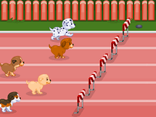 Dogs Racing