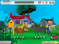 Horse Kissing Online