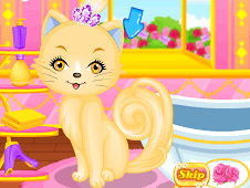 Lovely Princess Cat