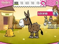 Me And My Donkey Online