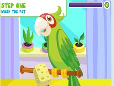 Parrot Care