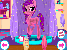 Pony Beauty Salon Online