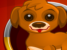 Puppy Racer