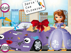 Sofias Car Cleaning