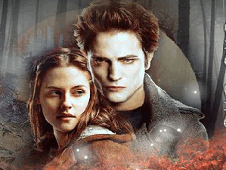 Twilight Puzzle Online