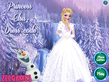 Princess Elsa Dress Code