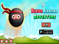 Ninja Diamond Adventure