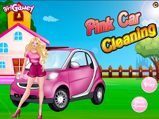 Princess Pink Car Cleaning