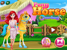 Pony Horse Caring 