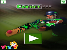 Cricket Batter Challenge Online