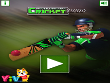 Cricket Batter Challenge