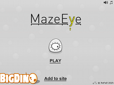 MazeEye