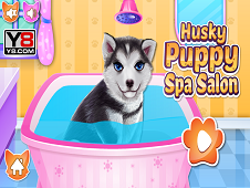 Husky Puppy Spa Salon