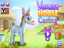 Donkey Horse Caring