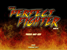 The Perfect Fighter 