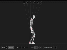 Wireframe Skeleton