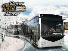 Winter Bus Driver