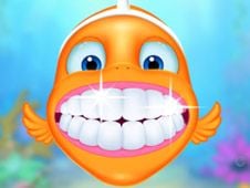 Aqua Fish Dental Care Online