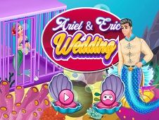 Ariel and Eric Wedding Online