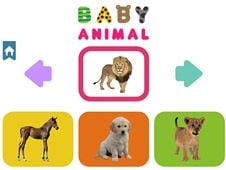 Baby Animal Online