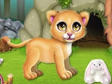Baby Lion Caring