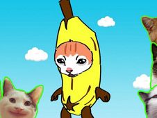 Banana cat catches memes