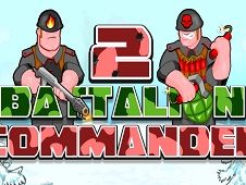 Battalion Commander