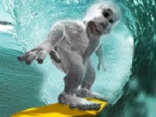 BigWave