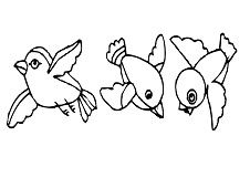 Birds Coloring Book