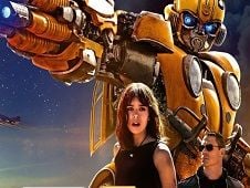 Bumblebee Hidden Spots Online