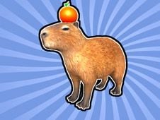 Capybara Collector