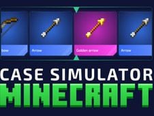 Case Simulator