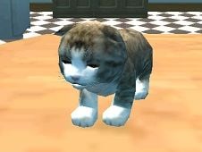 Cat Simulator Online