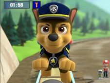 Chase Paw Patrol Differences