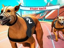 Crazy Dog Racing Fever Online