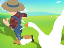 Crazy Goose Simulator