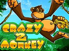 Crazy Monkey 2 Online