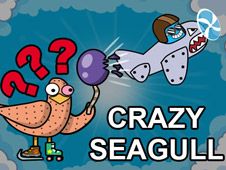 Crazy Seagull