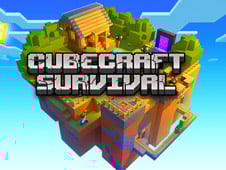 CubeCraft Survival