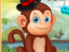 Cute Monkey Care Online