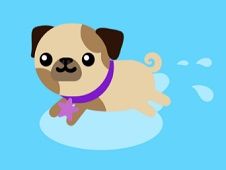 Cute Pugs Washing Time