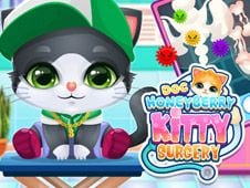 Doc HoneyBerry Kitty Surgery Online