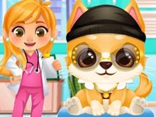 Doc HoneyBerry: Puppy Surgery Online