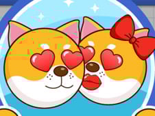 Doge Rotate Lover