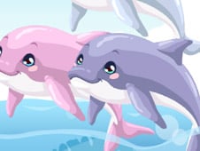 Dolphin Care